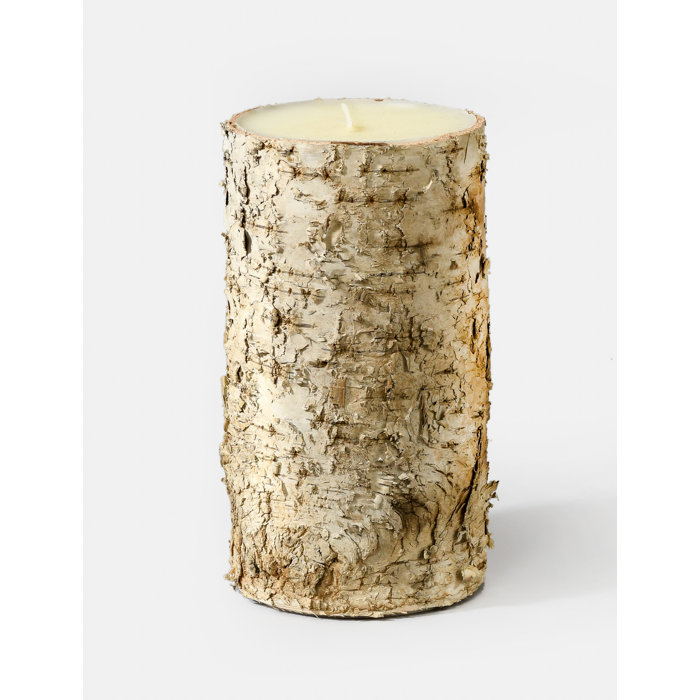 Loon Peak® Birch Bark Unscented Pillar Candle & Reviews Wayfair